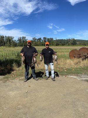 Luckiamute Valley Pheasants