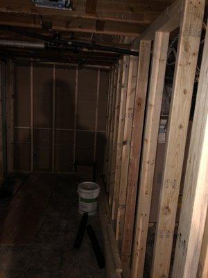 Basement Remodel Before