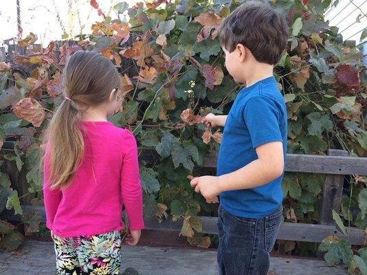 Children at Creekside Kinderclass get out and play everyday!!