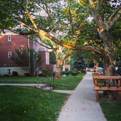 View down howard ave. Complex is kept really clean and lush