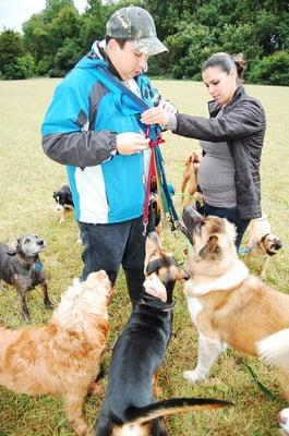 K9 Love Dog Walking and Pet Sitting