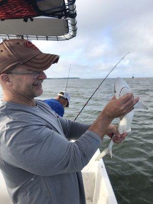 Caught a bunch of sharks!