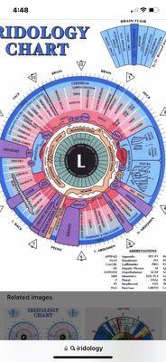 Iridologist