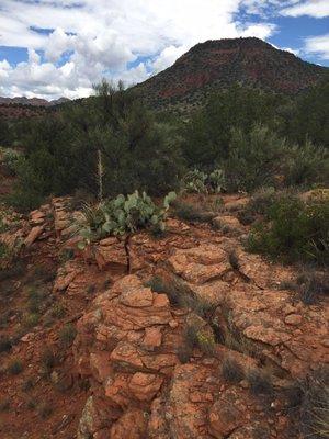 A higher part of the vista, overlooking the area.