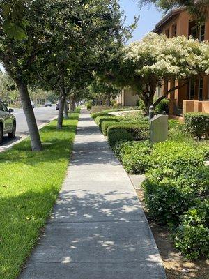 Concrete sidewalks for residential neighborhoods.