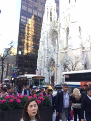 45 Rocke reflected in bldg-St. Patrick's Cathedral - Cordell Hull Fdn