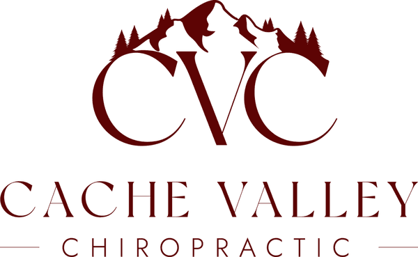 CVC Logo