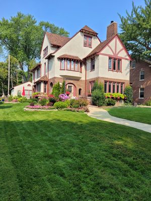 Beautiful new lawn after new lateral installed.