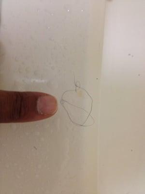 One of the many hairs that were left in the tub,