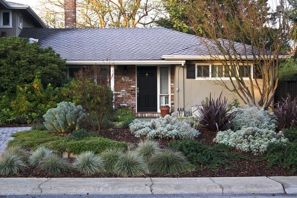 Lawn replaced with low water softscape and irrigation