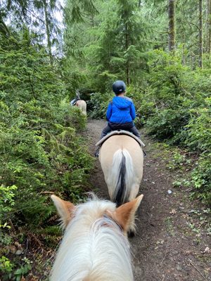 Pets Galore Horse Rides