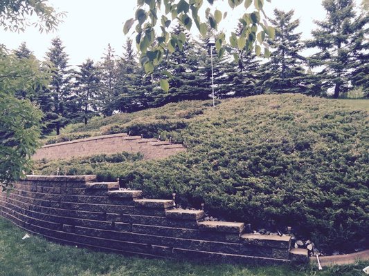 We pruned all the shrubs and bushes on a 3 tier landscape retaining wall.