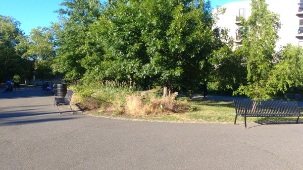 East Boston Greenway