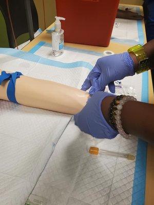 Phlebotomy students practicing their sticks