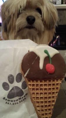 Ice cream cookie cone for puppies ;)