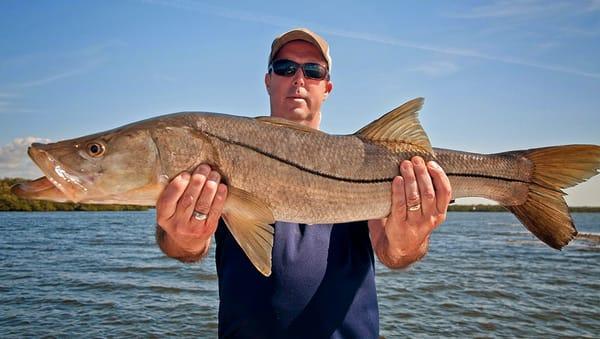 Staley Charters