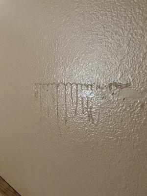 Mysterious stain on wall above headboard