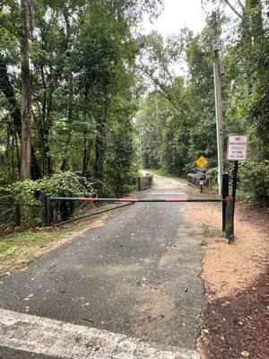 To get to Jackson Oak, follow this pedestrian only road in & a quarter of a mile to the right, follow a small unmarked trail.