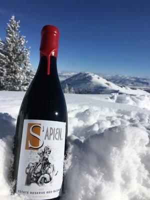 Sapien Wine