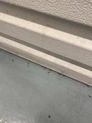 Dead termites