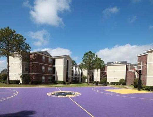 University Village at Prairie View - Basketball Court