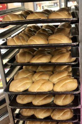 Fresh baked & warm Bollios