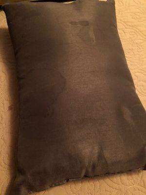 Pillow on master bed