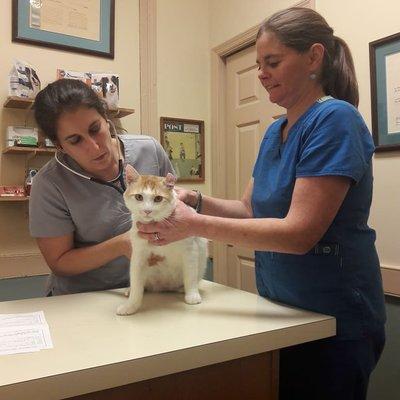 Neville's first visit with Dr. Klein