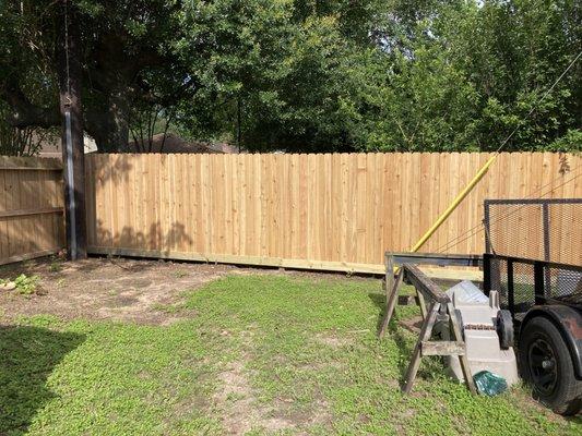 New cedar picket fence