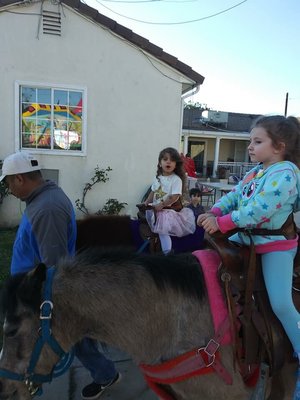 Pony ride