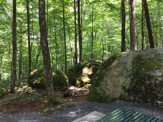 Mossy rocks adjacent to balance rock.