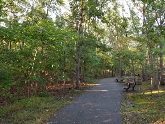 Walking path with park benches.