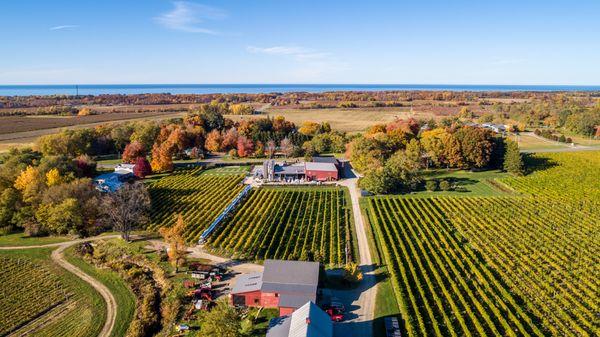 Lake Erie Wine Country fall aerial