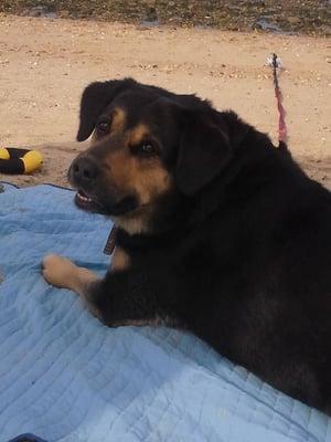 Sunbathing On The Beach