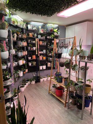 Plant shop!