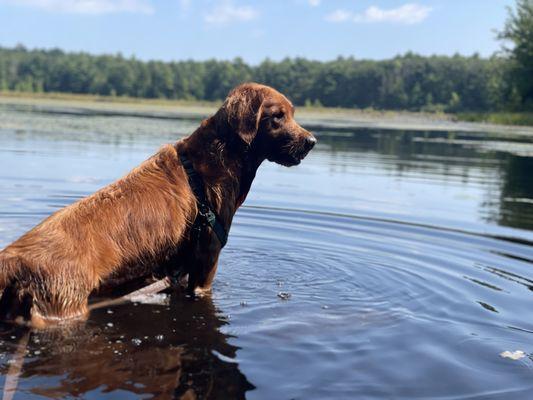 Swimming holes on adventures bring me great joy