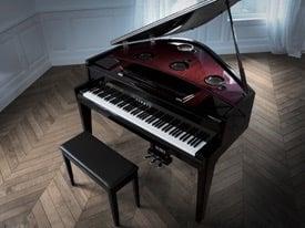 New Grand Piano of "Virtuoso " School of Music and Art