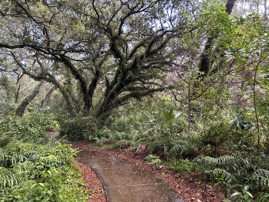 Paved Nature Trail