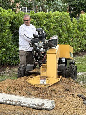 Stump Grinding