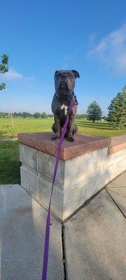 Bijou in place at the entrance of the sports field complex