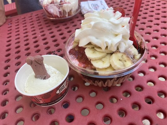 Banana Split/ Puppy Ice Cream