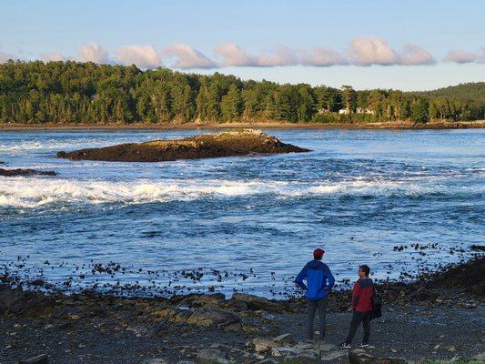 Parking gets full by low tide.  Picnic tables and a portable potty.  Please Follow instructions for handling of starfish .  8.21.24