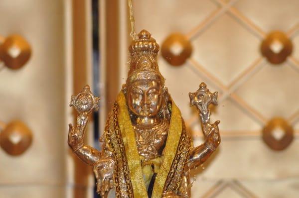 Srinivasa Kalyanam on May 15th Sunday,2016.