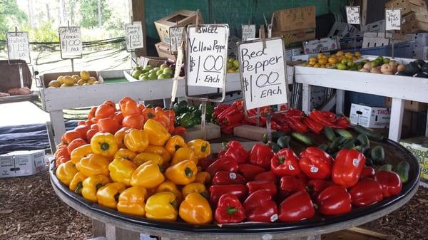 Colorful Peppers