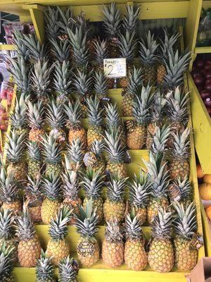 Ripe pineapples