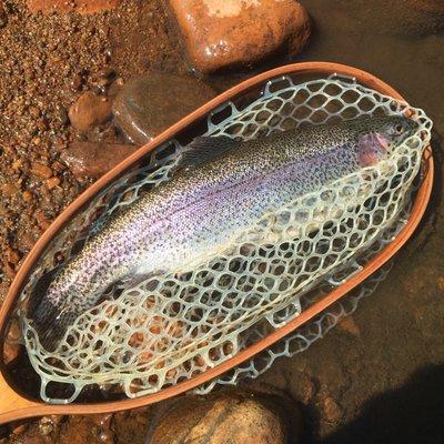 Pocketwater Fly Fishing