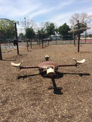 There is a lot of cool park equipment the kids can play on.