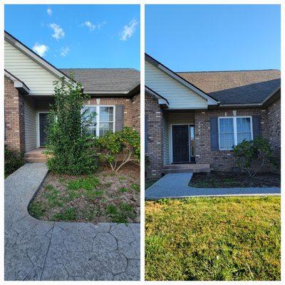 Tree and root removal in Riner, Virginia.