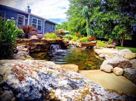 Backyard oasis