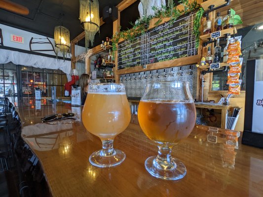 Citra-Saurus Double IPA and the clearer drink is the Apple Cider Donut Hard Cider.